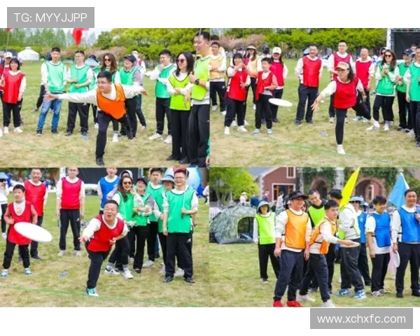 成都飞盘队团队协作引发热议背后的争议与反思