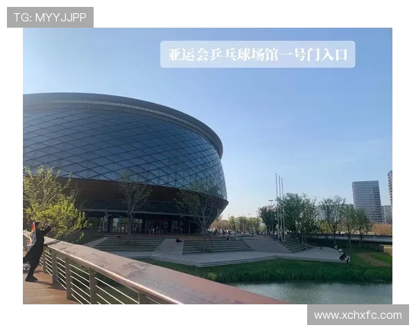 杭州乒乓球队实力飙升力量排名创历史新高引发关注