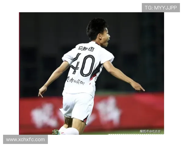 杭州篮球队积分榜领跑65分展现强劲实力引发关注