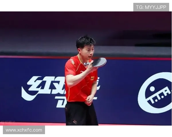 武汉排球队强势领跑大满贯积分榜以69分稳居第一