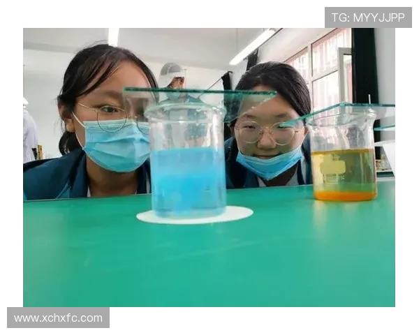 赵芳的乒乓球人生深度对话探索她的奋斗与梦想之路