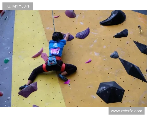 上海攀岩队在世界攀岩锦标赛中的技术表现分析与点评