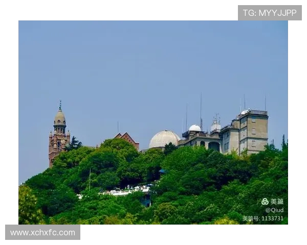 上海羽毛球队在洲际杯中的辉煌成就与突破之路全景回顾 上海羽毛球队在洲际杯中的辉煌成就与突破之路全景回顾