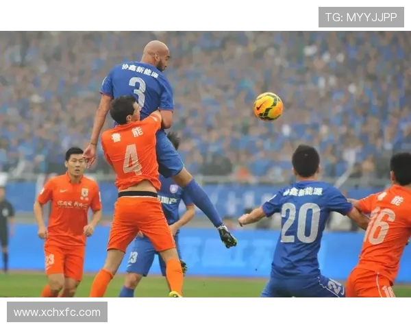 北京排球队意识争议引发热议球迷与专家各执己见探讨球队未来发展