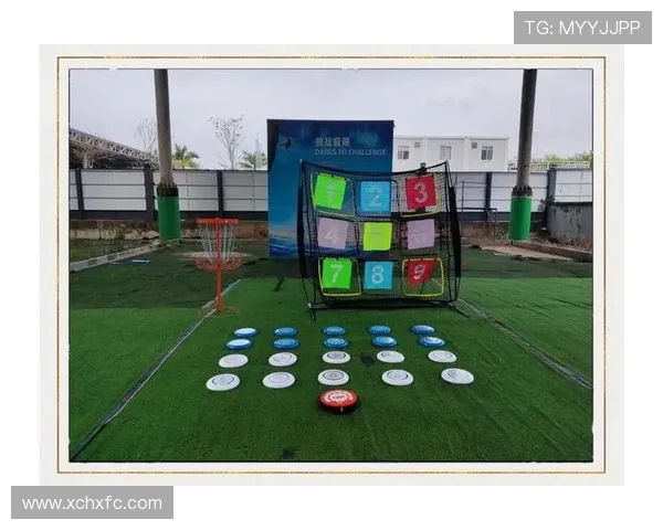 南京飞盘队在全国耐力排行榜中荣获第二名展现出卓越实力与团队精神