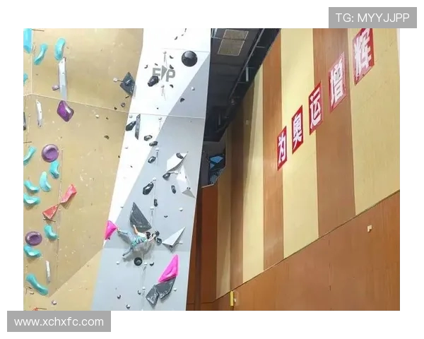 杭州攀岩队与武汉攀岩队赛后复盘分析比赛节奏与战术对比